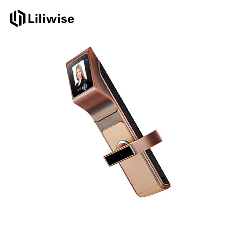Recognition Electronic Front Door Lock With Key Fingerprint China Recognition Electronic Front Door Lock With Key Fingerprint Password Supplier