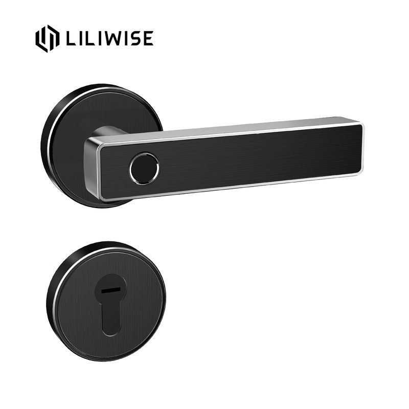 Biometric Fingerprint Door Lock Bluetooth Zinc Alloy Door