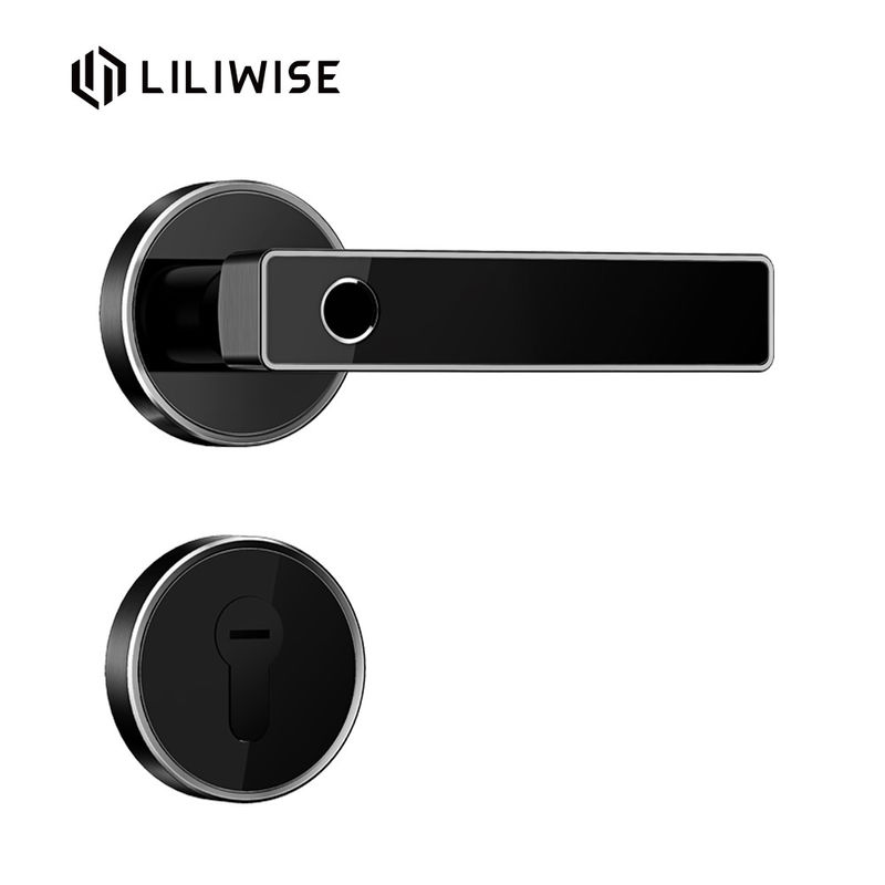 Simple Black Smart Biometric Bluetooth Door Lock Remote Control