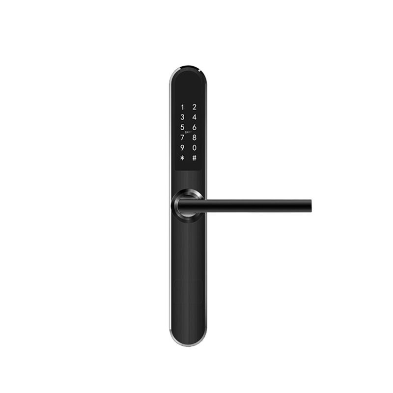 Keypad Bluetooth Wifi Electronic Door Locks Keyless Entry