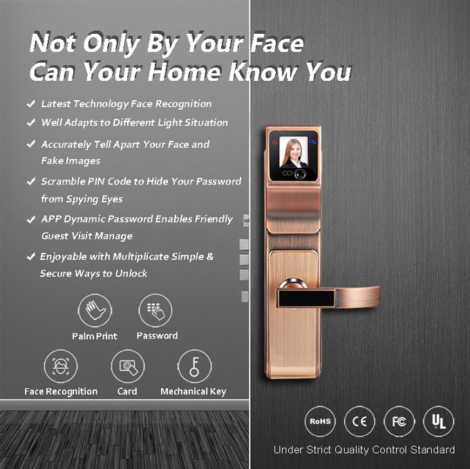Smart 3d Infrared Face Recognition Door Handle Lock For