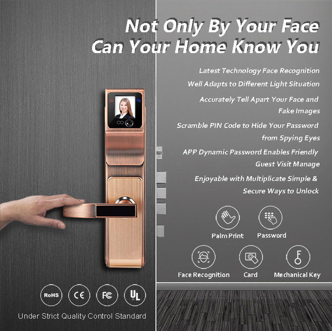 Security Big Panel Fingerprint Zinc Alloy Door Lock Ir Face