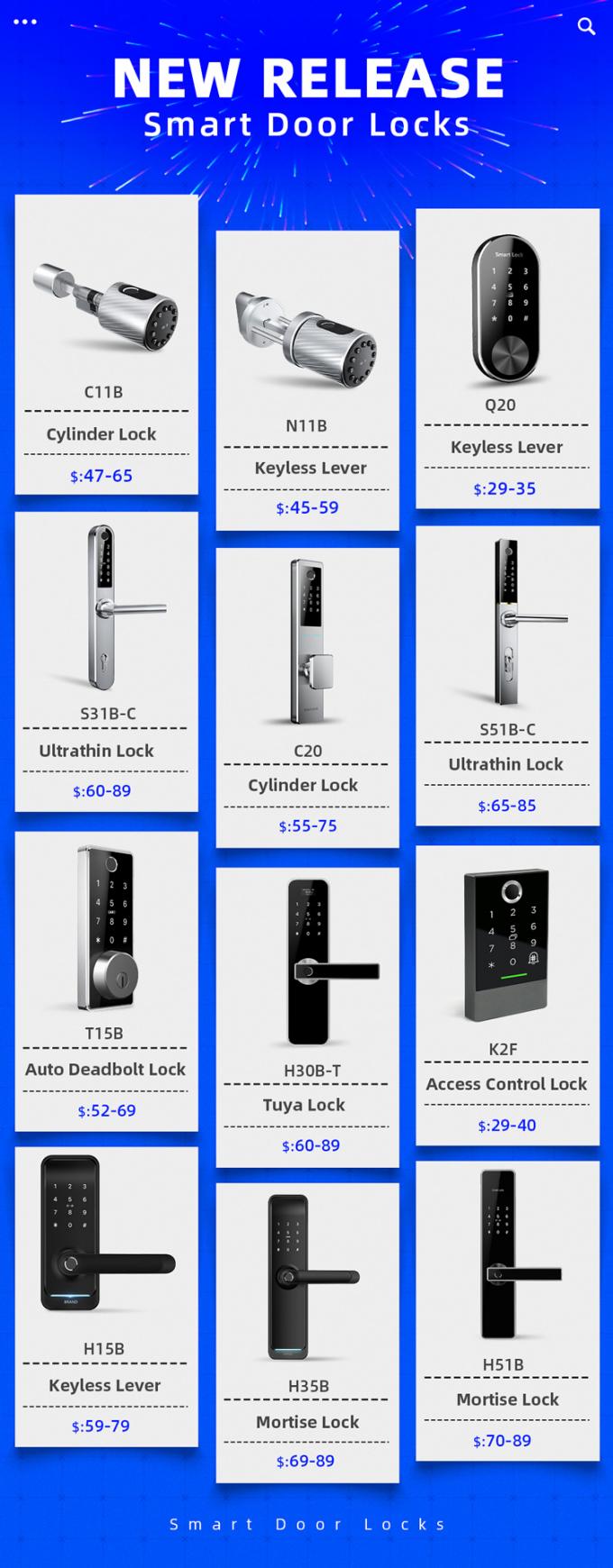 Home Smart Mobile WiFi Fingerprint keypad Door Lock European Standard 6