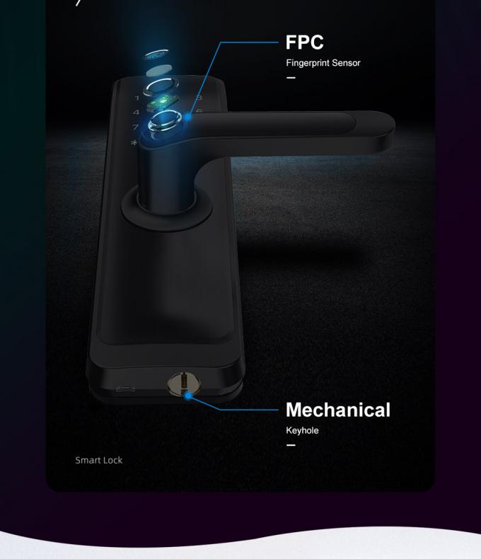 Biometric Automatic Lock Door 3