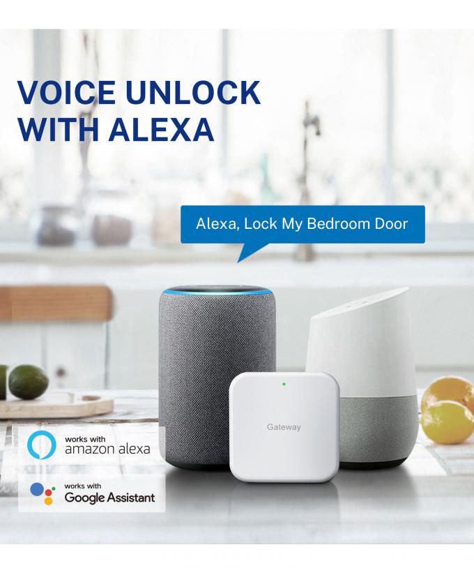 Liliwise Security Digital Doorbell Tuya Wifi Smart Fingerprint Lock Face Recognition Camera Door Lock Control De Accesos 24