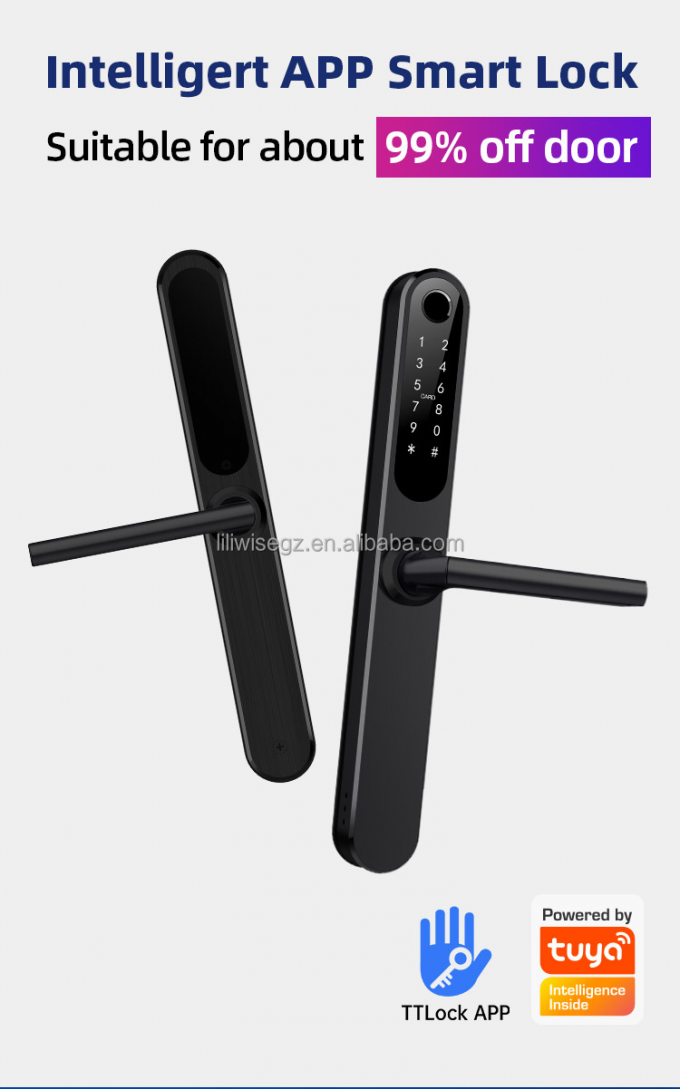 Liliwise Custom Security Electronic Waterproof Ip66 Digital Ttlock Tuya Wifi Fingerprint Sliding Slim Smart Door Lock 2