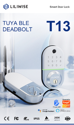 quality Electronic Digital Deadbolt Smart Lock APP Management System factory