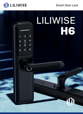 Liliwise Cerradura Inteligente Wholesale Bluetooth Digital Door Lock