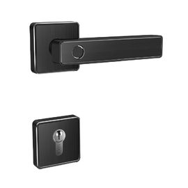 Wifi Bluetooth Fingerprint Handle Door Lock Alarm Digital Cylinder Smart Door