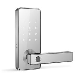 Intelligence Bluetooth Door Lock Keyless Wifi Bluetooth Smart Lock