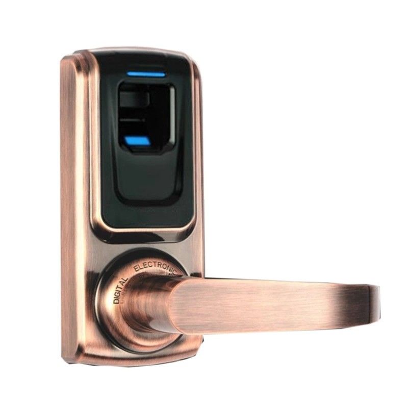 Residential Fingerprint Door Lock Zinc Alloy SJ6024 Digital Green Brass