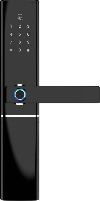 Smart Fingerprint Enabled Keyless Magnetic Door Lock With CE FCC ROHS ...