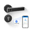 Wifi Bluetooth Fingerprint Handle Door Lock Alarm Digital Cylinder Smart Door