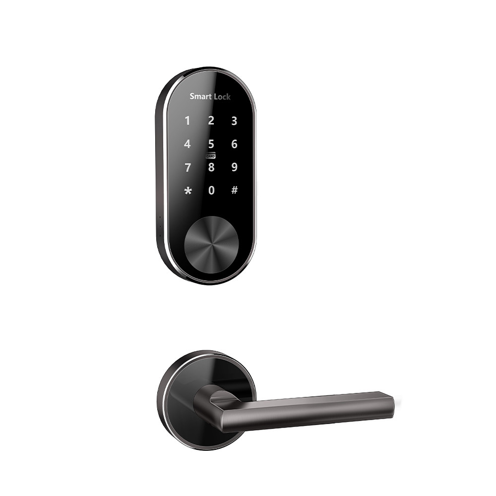 Multi Apartment Electronic Door Locks / Flat Bluetooth Password ...