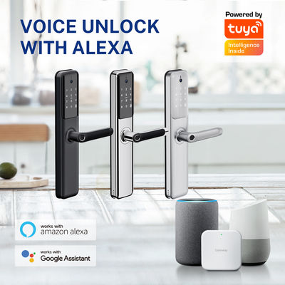 Tuya Smart Door Lock with 3D Face Recognition and Fingerprint