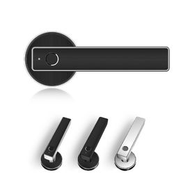 Office Electronic Door Locks Phone Control Biometric Fingerprint Entry Smart Door Lock