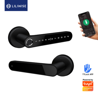 WiFi App Smart Fingerprint Door Handle Lock Identification Time 0.1S