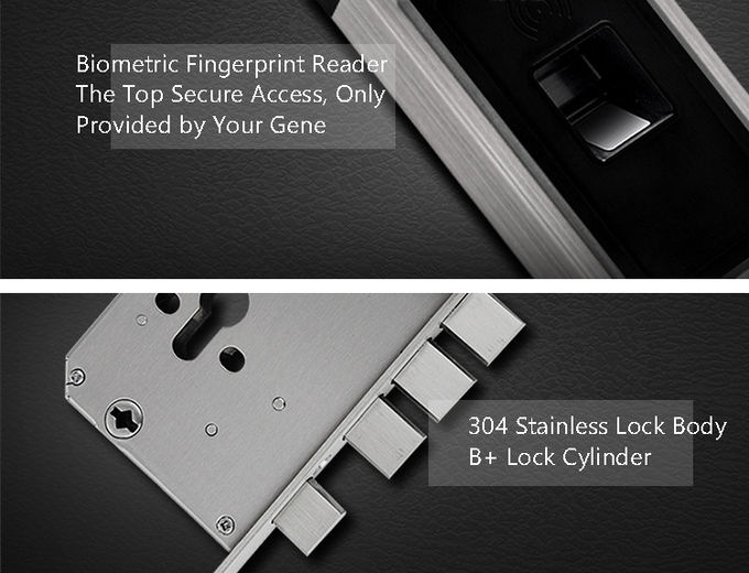Stainless Steel Fingerprint Door Lock RFID Card Simple Modern Optical Sensor 2