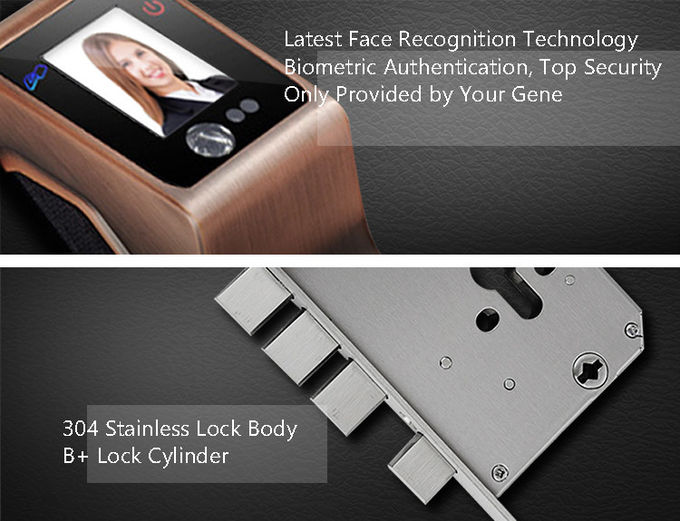 Security Big Panel Fingerprint Zinc Alloy Door Lock IR Face Recognition 3