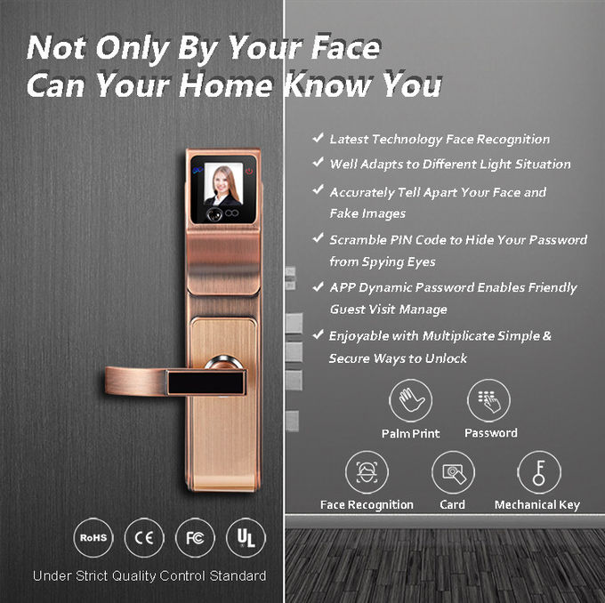 Durable Face Recognition Door Lock High Security Touch Screen Low Energy Consumption 1