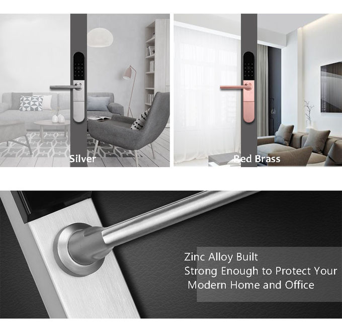 Smart Lock Door zinc Alloy App Control Smart Aluminium Door Locks For Sliding Door 1