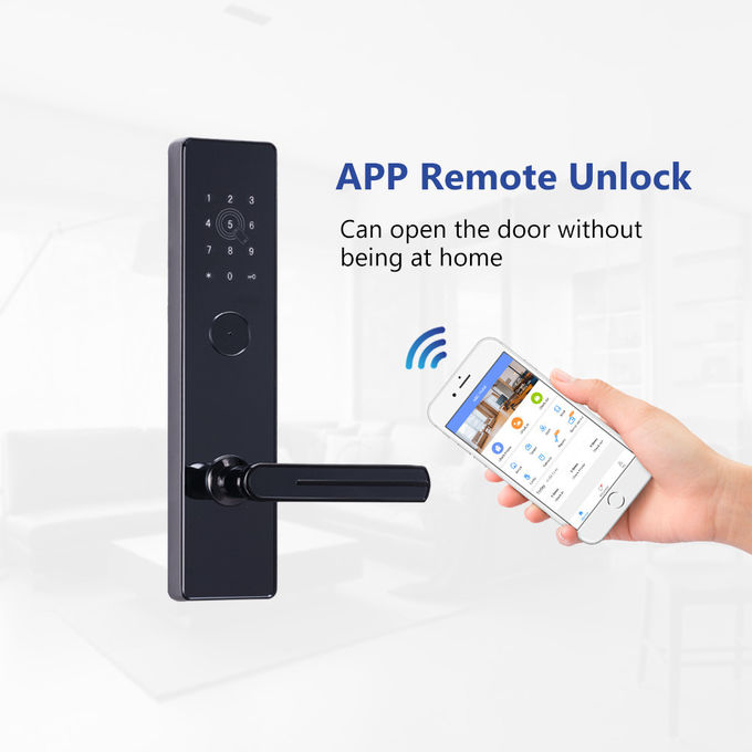 Smart Apartment Door Locks WiFi APP Access Remote Mirror Unlimited Data Capacity 0